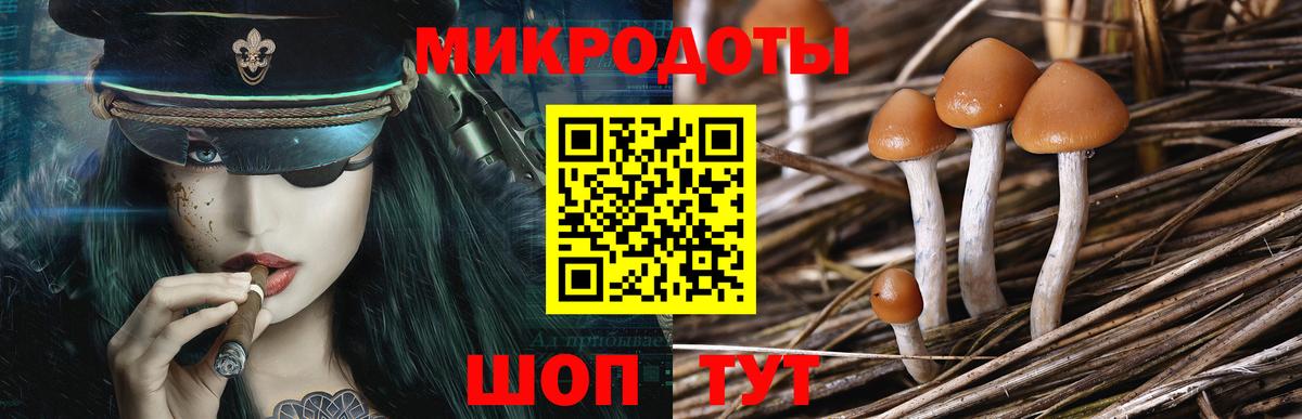 Псилоцибиновые грибы Cubensis  Галлюциногенные грибы Psilocybine cubensis  Вход с VPN  Ковров 