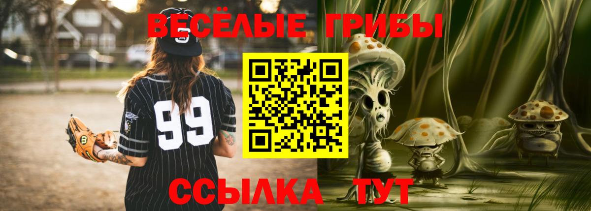Псилоцибиновые грибы Psilocybine cubensis Ковров